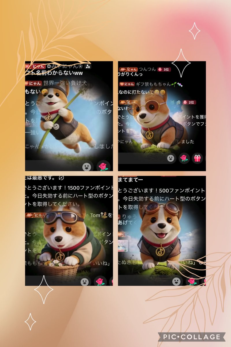 t@柔 tweet media