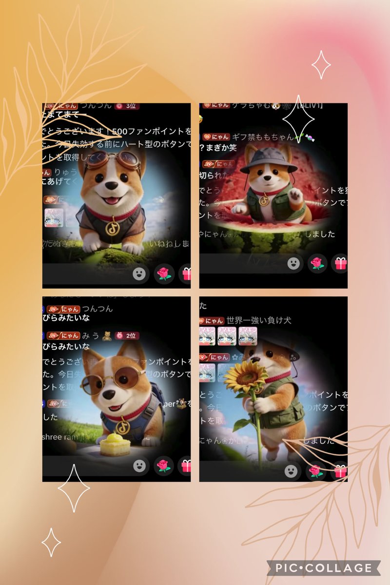 t@柔 tweet media