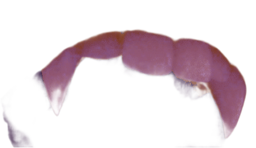 𝑁𝑂𝐵𝑂𝐷𝑌'𝑆 d͟a͟u͟g͟h͟t͟e͟r͟ tweet media