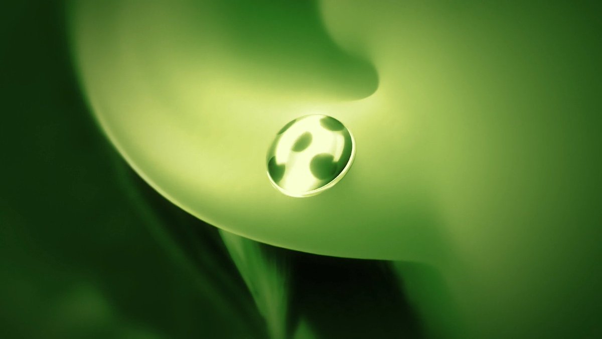 holly ୨ৎ tweet media