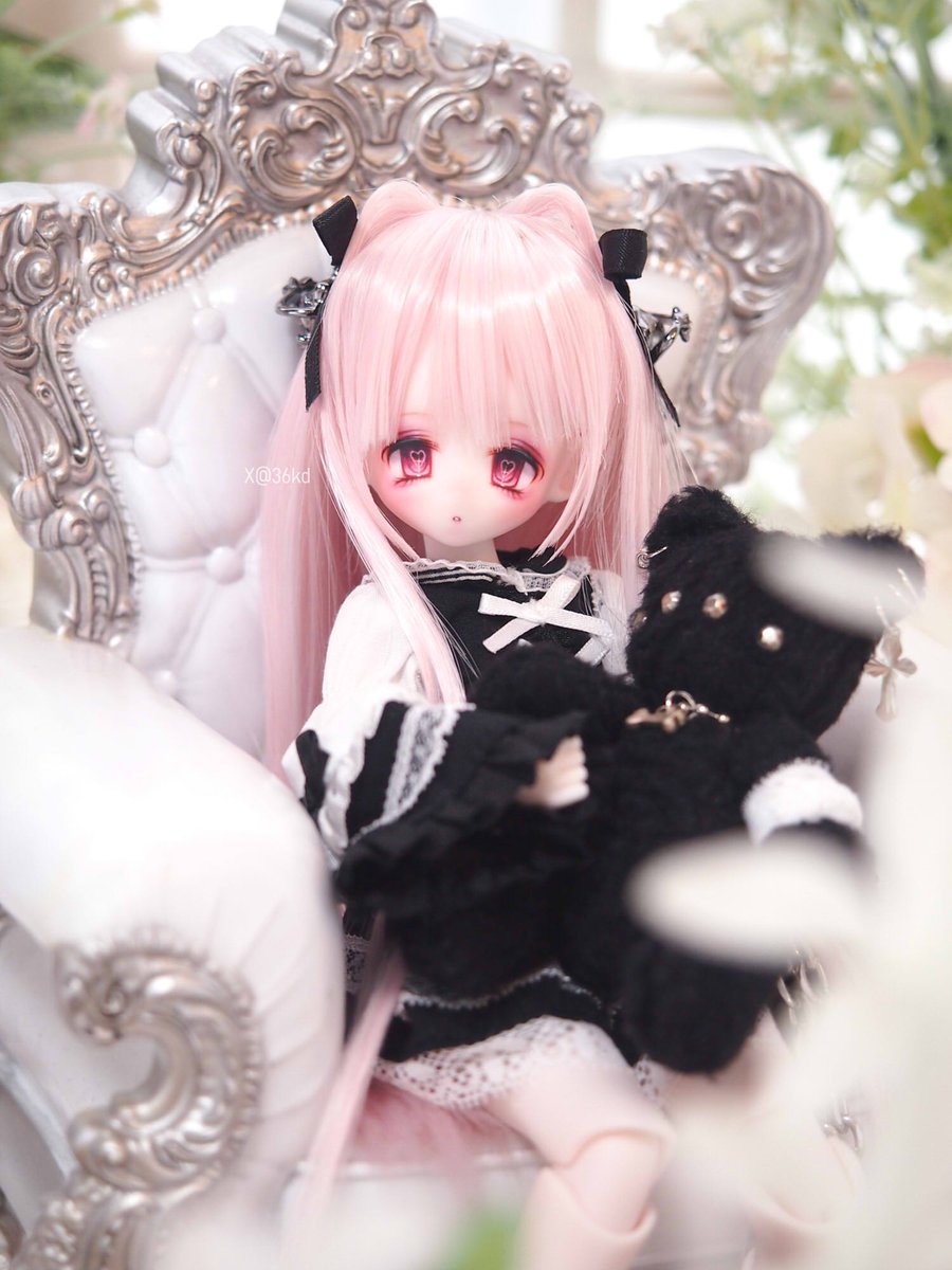 chatora🐾 tweet media