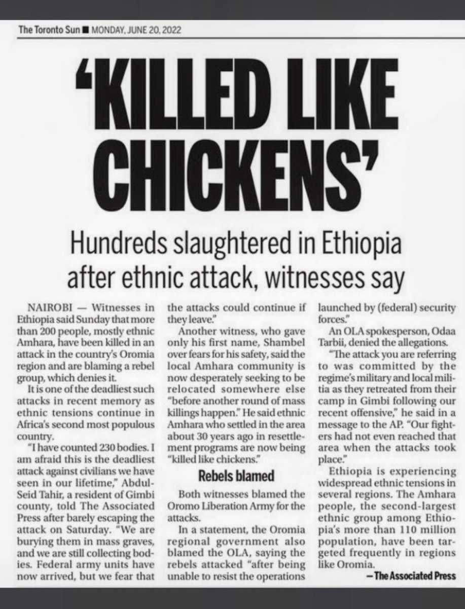 We, the Amhara people, continue to endure systematic persecution in Ethiopia. Our communities have been subjected to horrific atrocities: families burned alive in their homes, individuals slaughtered in cold blood, and others executed by gunfire. Despite these grave violations,