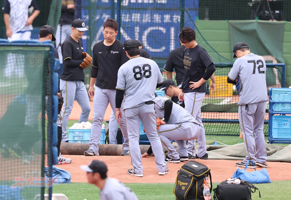 スポニチTIGERSフォト tweet media