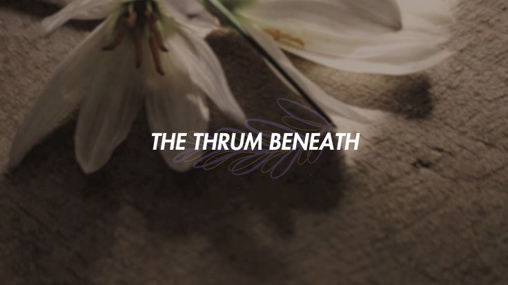 Caley C. Stephanie tweet media