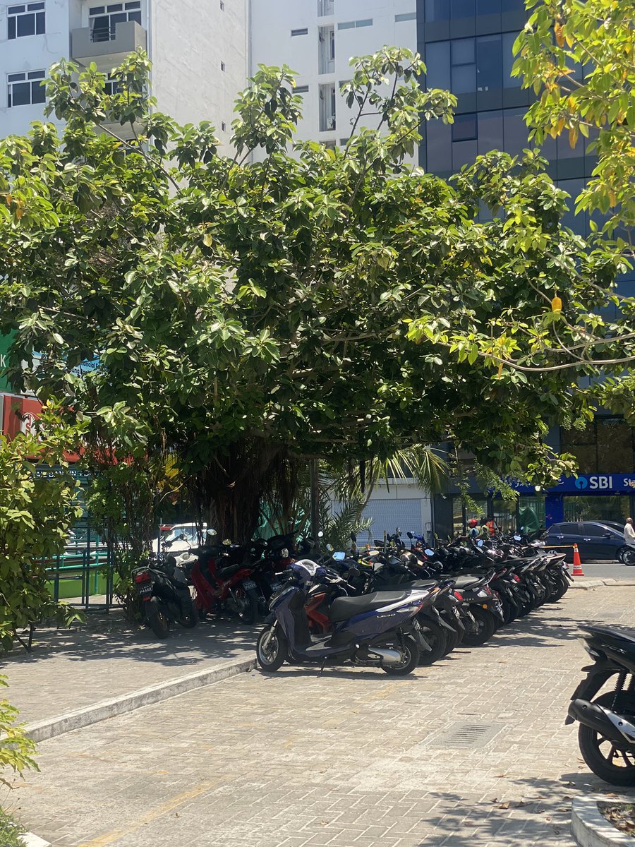 mfurqaan tweet media