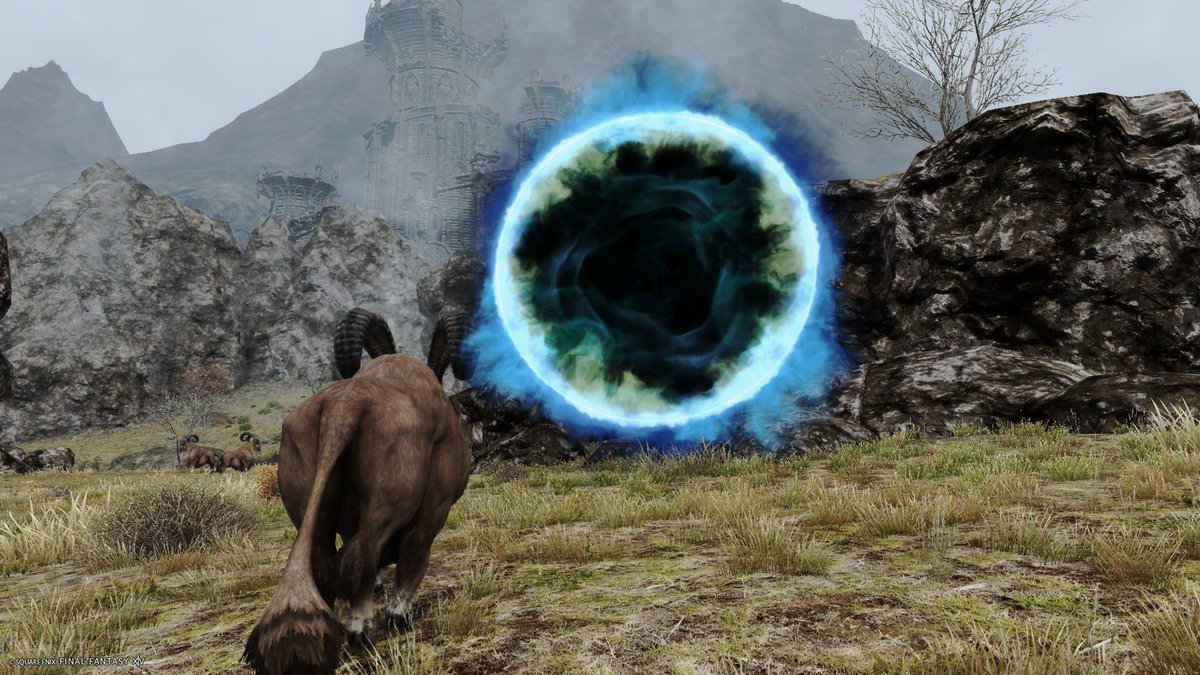 ごまSesame tweet media