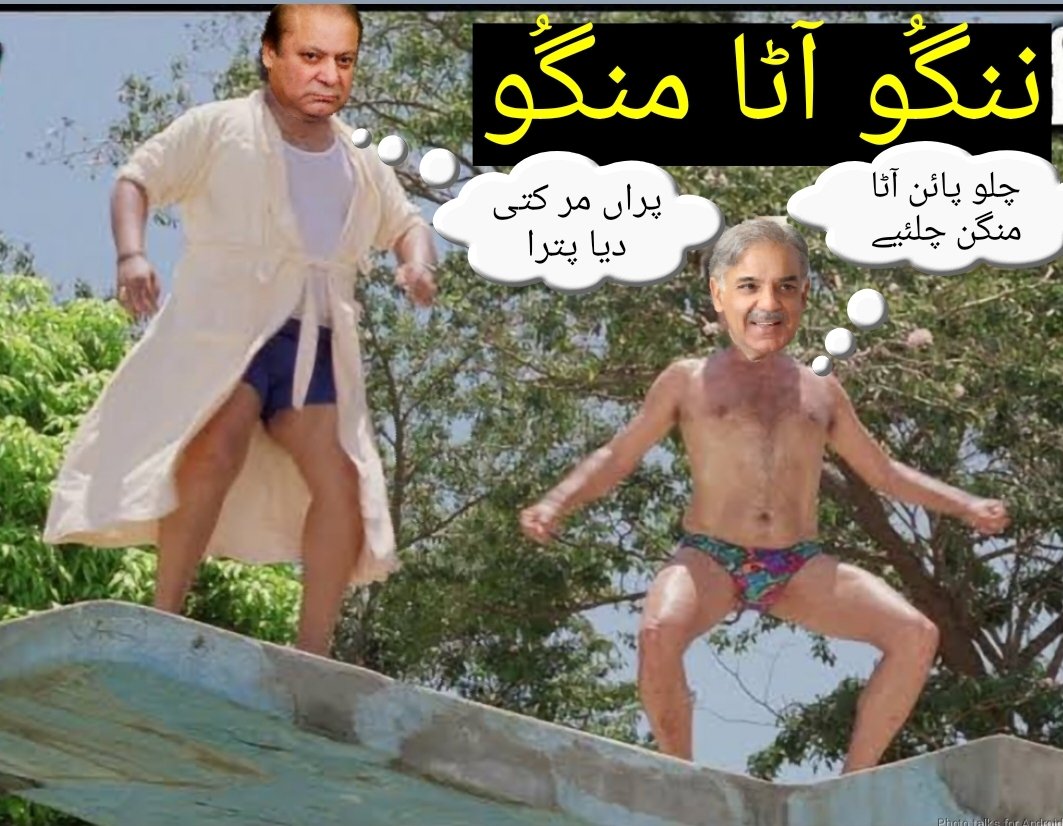 سنجو بابا tweet media