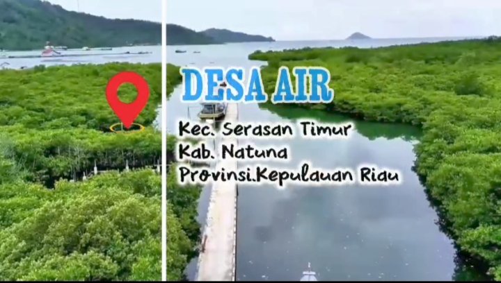 DARI NATUNA UNTUK INDONESIA. BUMDesa Desa  Air Ringau di Ujung Utara Negeri  berinovasi membudidayakan kepiting untuk kesejahteraan warga. Desa Berdaya Indonesia Jaya
<a href="/YandriSusanto/">Yandri Susanto</a>
#BPSDMKementerianDesaPDT
#BUMDesaNatuna
 #KerjaTPPBerdampak #BUMDesaMensejahterakanRakyat