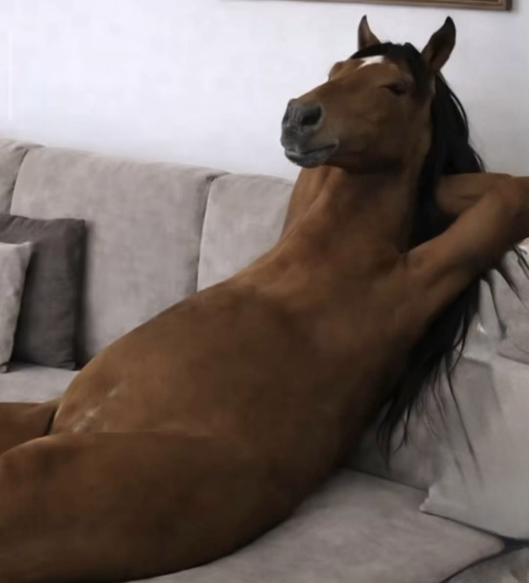 Zaharaddeen tweet media