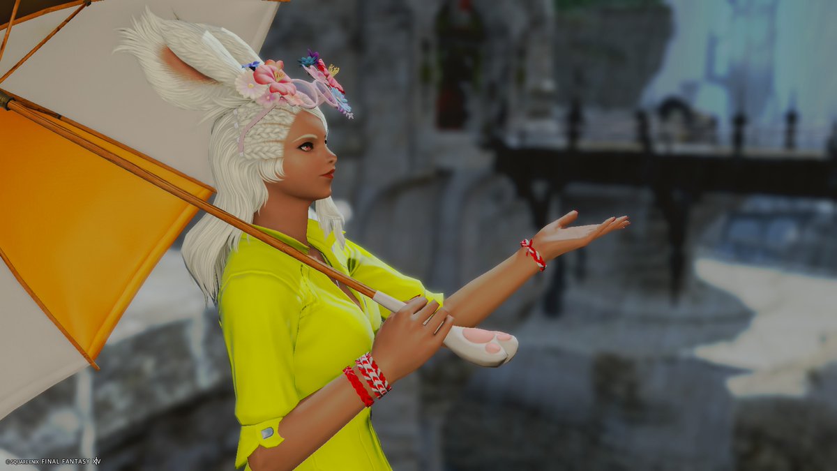 ごまSesame tweet media