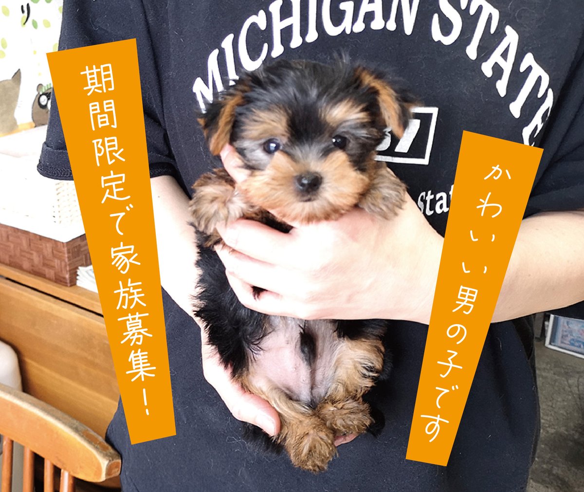 株式会社ウィブレイン tweet media