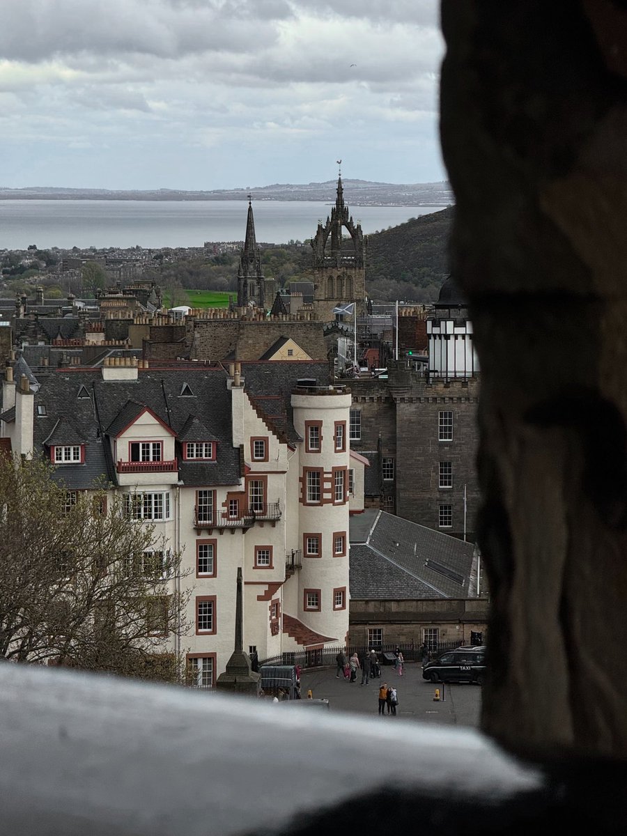 fridamania tweet media