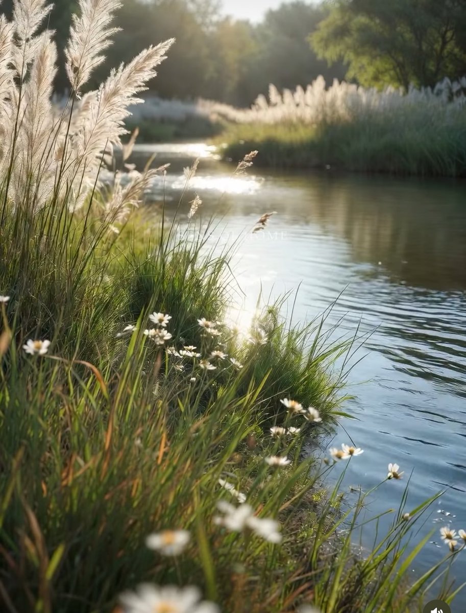 Ella🪷 tweet media