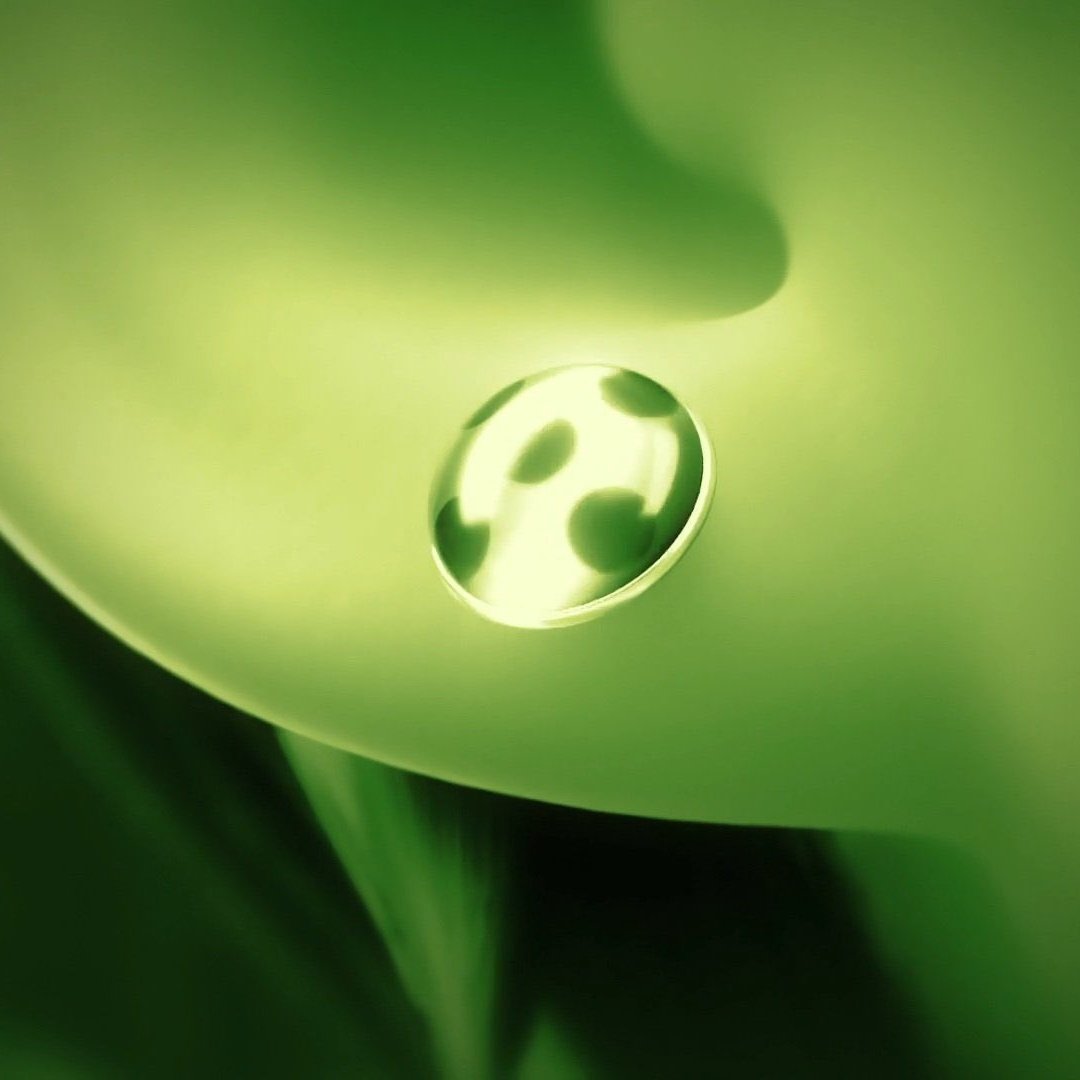 ally :𓆉 tweet media