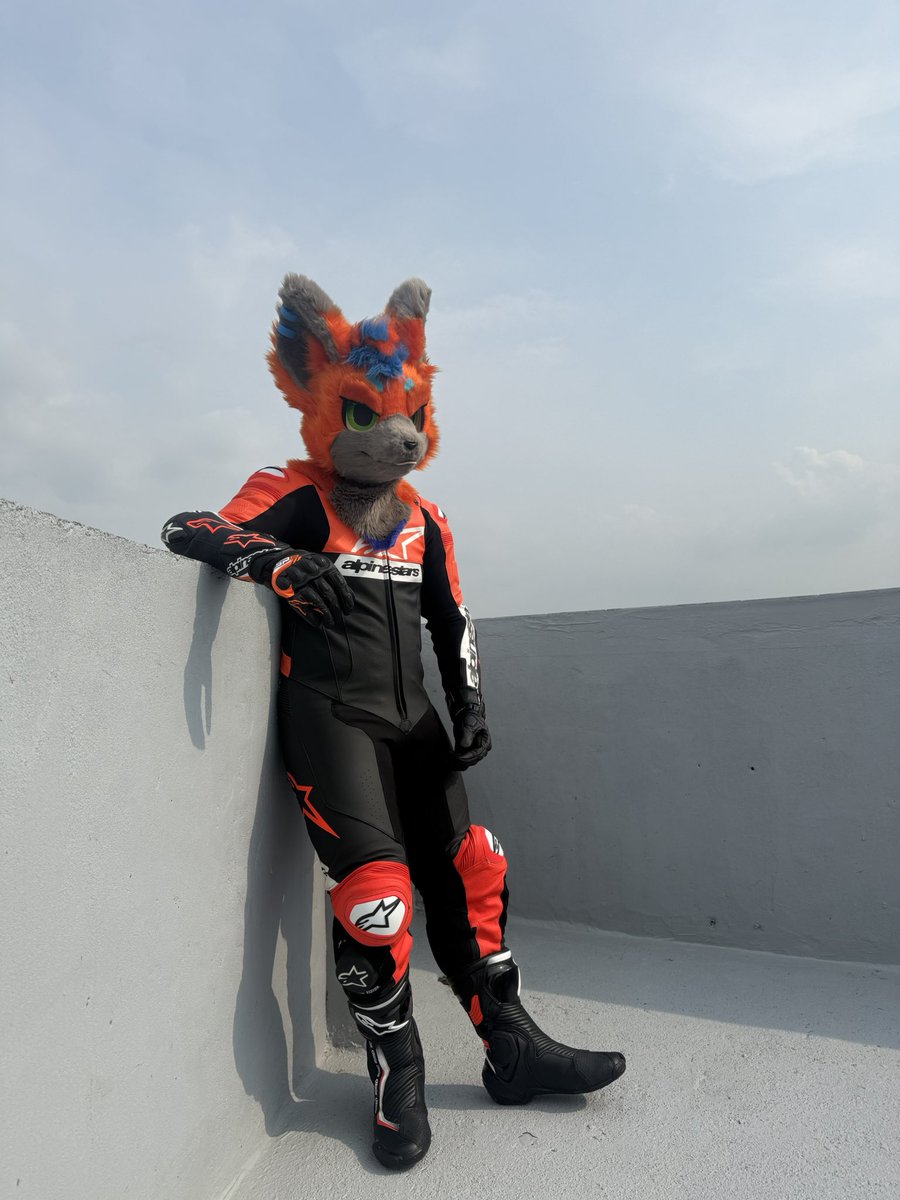 iiTzWo1fy's tweet photo. Furry gay biker https://t.co/UekDTpZ2Ed