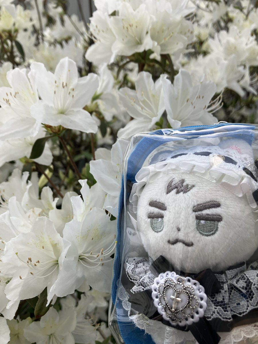 Torijun tweet media