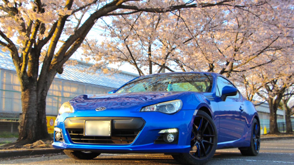 rin_virago's tweet photo. 誕生日を迎え、25歳になりました🎈

名前:りん🌿
年齢:25
住み:栃木
車種: #BRZ zc6 #YZFR25 
好き:東海オンエア、カビゴン

最近バイクには乗れていないですが、ちょっとずつ車のカスタムを進められて嬉しい☺️
今年もたくさんドライブ行きたいと思います🫧 https://t.co/fCo7M7ky1e