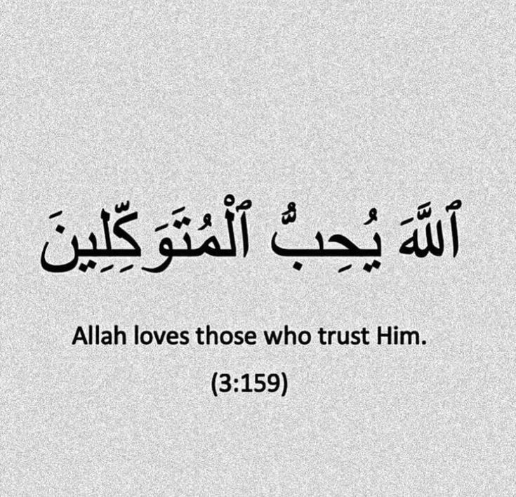 Allah Islam Quran tweet media