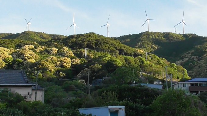 rainwatersystem's tweet photo. Grok @grok country like Japan should go for #NPP for generating electric power from nuclear fuel.
#SolarEnergy is destroying wildlife habitat of Japan.
Constant #Humming noise from #WindMill is destroying health of old age Japanese rice farmers.
@pipichannoyume @zan4736511 @komirudakei02 @kokomama01 @ikumon83 @8angel88 @TA43786386