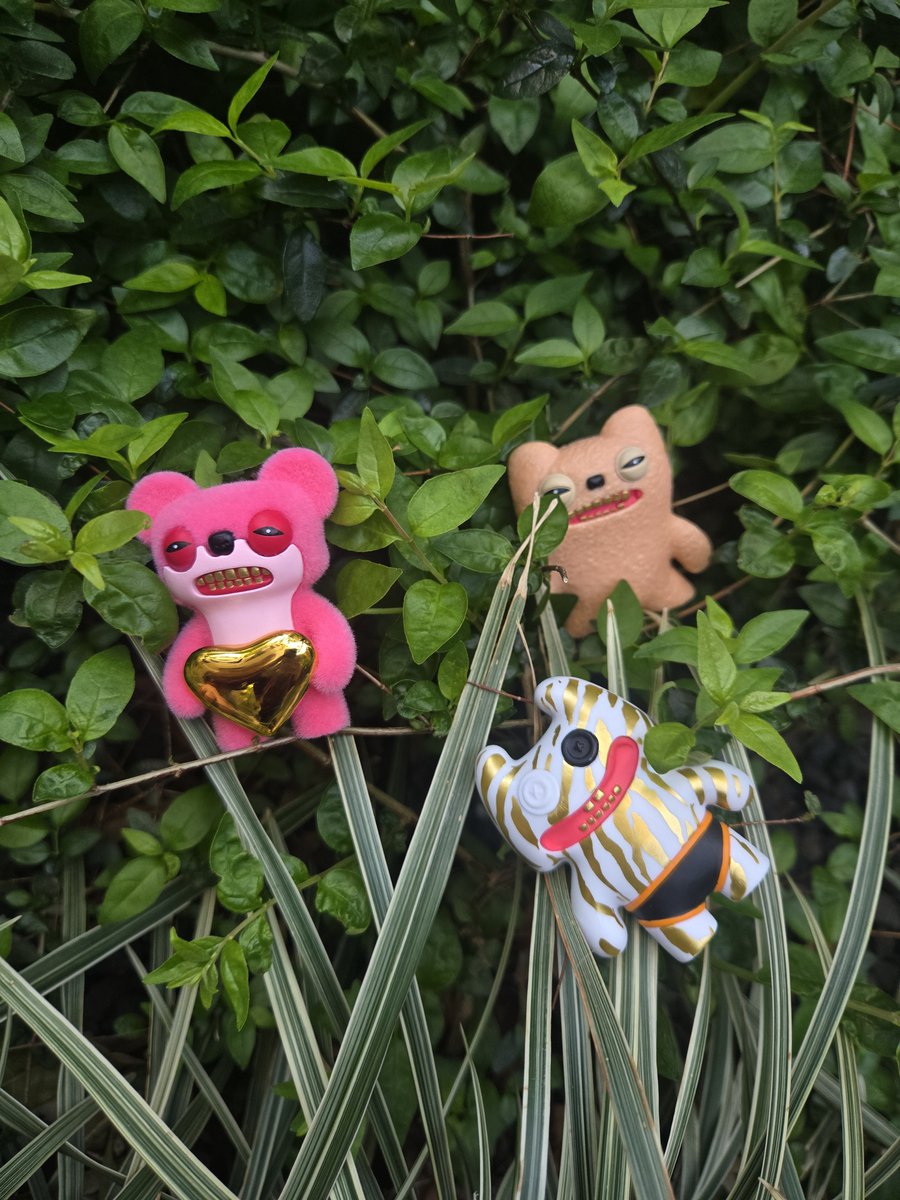 【希少】ファグラー ZURU ウェディングデイ　限定TOOTHリング付き ファグラー【公式】 (@fugglerjp) / Posts / X