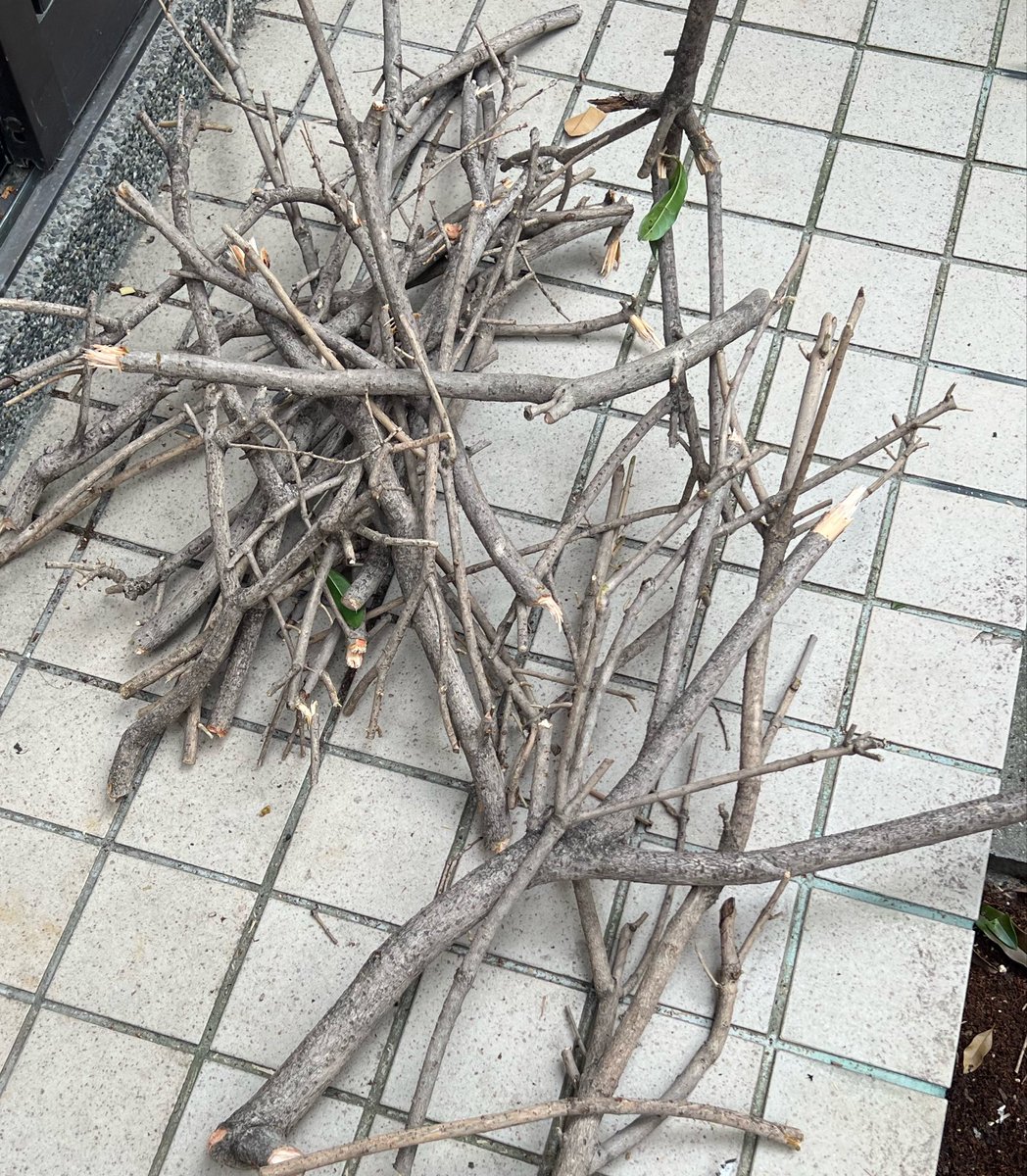 おとっち tweet media