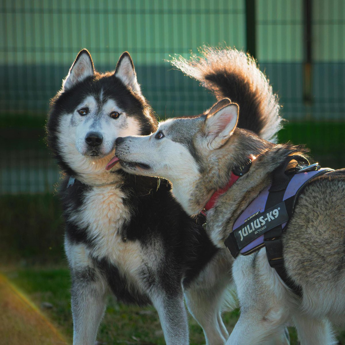 CoinMarketCap tweet media