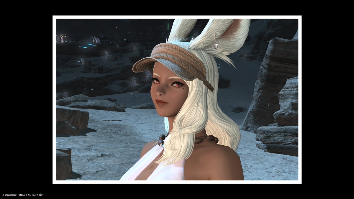 ごまSesame tweet media