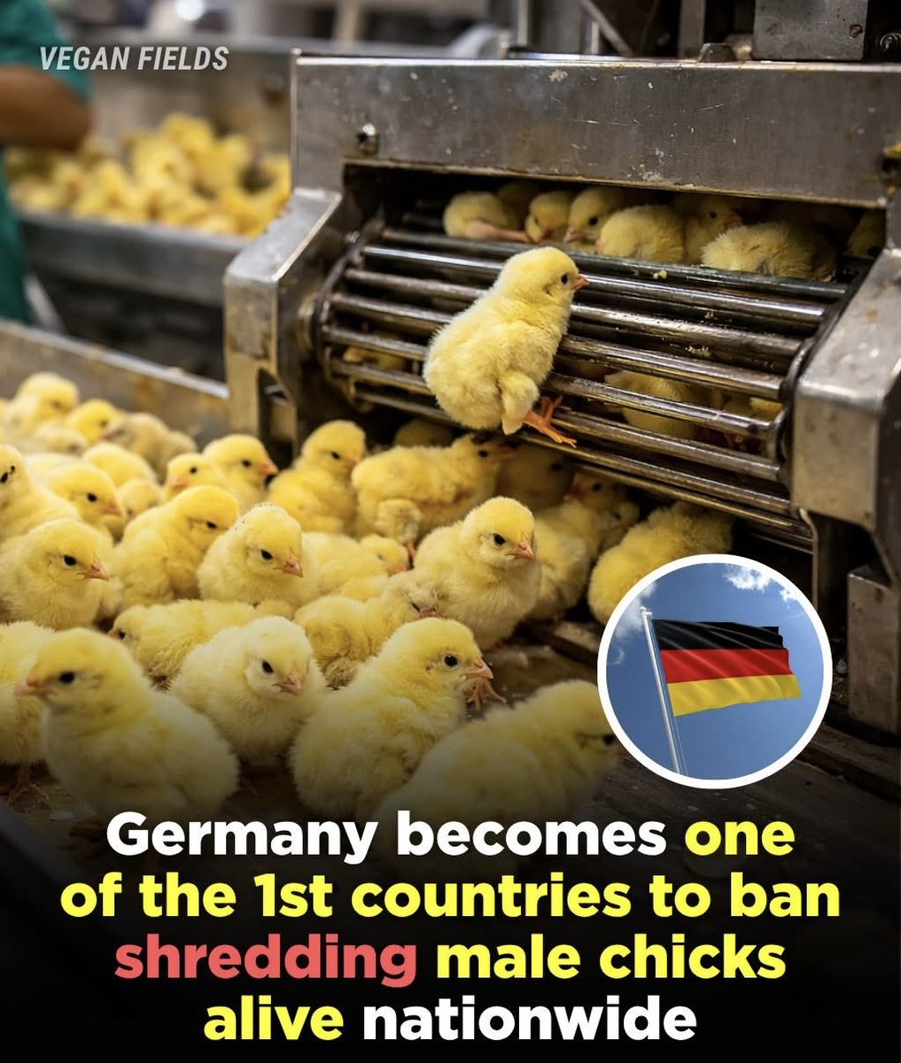 PROTECT ALL WILDLIFE tweet media