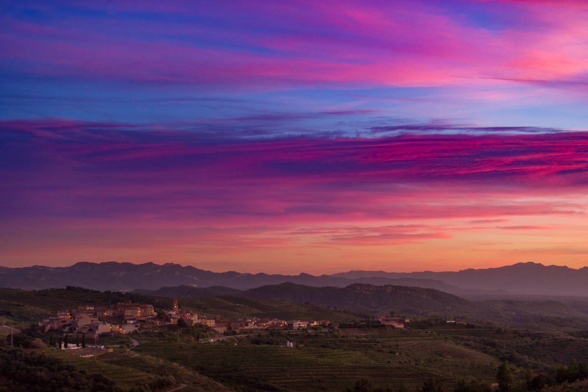 doqpriorat's tweet photo. 🌏 Avui és el dia mundial de la terra, les viticultores i els viticultors de la DOQ Priorat fa segles que som conscients de la importància de cuidar la terra mare.

Amb el suport 👇
@costadauradatur 
@Dipta_cat 
@gencat 
Wine in moderation

#Priorat #DOQPriorat https://t.co/rcJP1kje8x
