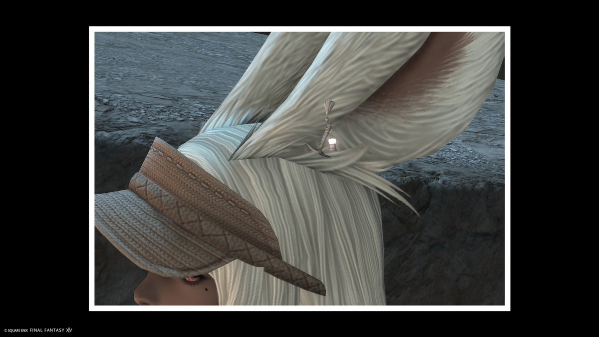 ごまSesame tweet media