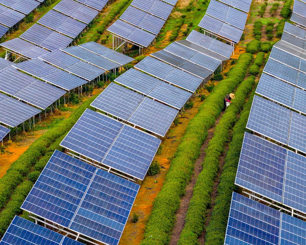Union Green Power tweet media