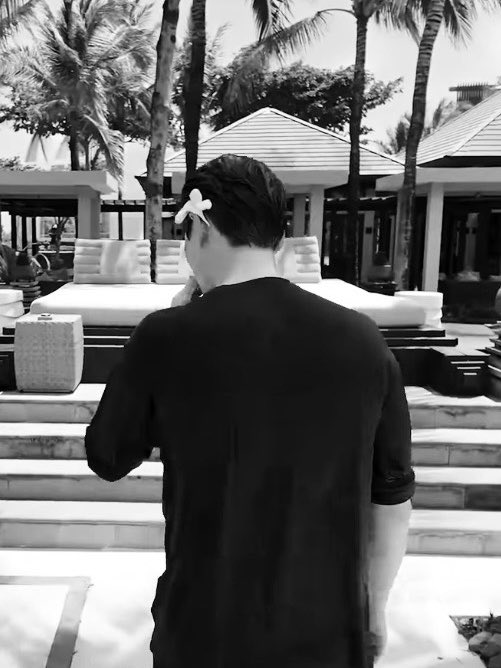 woodyꕤ Brian Kang tweet media