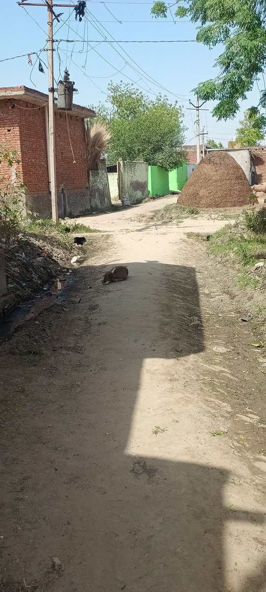 📍 ग्राम ततारपुर, जिला अलीगढ़
यह हैं ब्लॉक के सेक्रेटरी, जिन्हें मैंने खुद गाँव की हालत दिखाने के लिए बुलाया।
हर बार आते हैं, फोटो खींचते हैं और एक ही जवाब देते हैं —
"ब्लॉक में पैसा नहीं है"
❗ 2 साल से यही बहाना चल रहा है
❗ न CC रोड बनी, न नाली बनी
❗ सिर्फ आश्वासन और टालमटोल