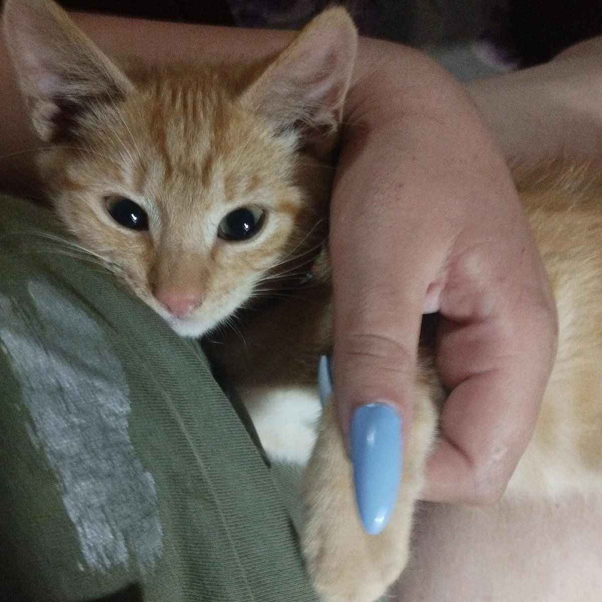 Акамі tweet media