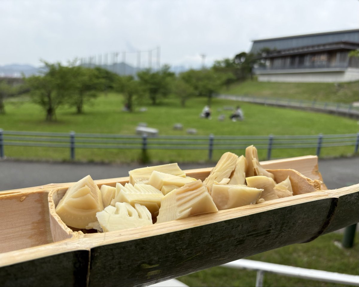 九州大学に観光地をつくる会 (九観会) tweet media