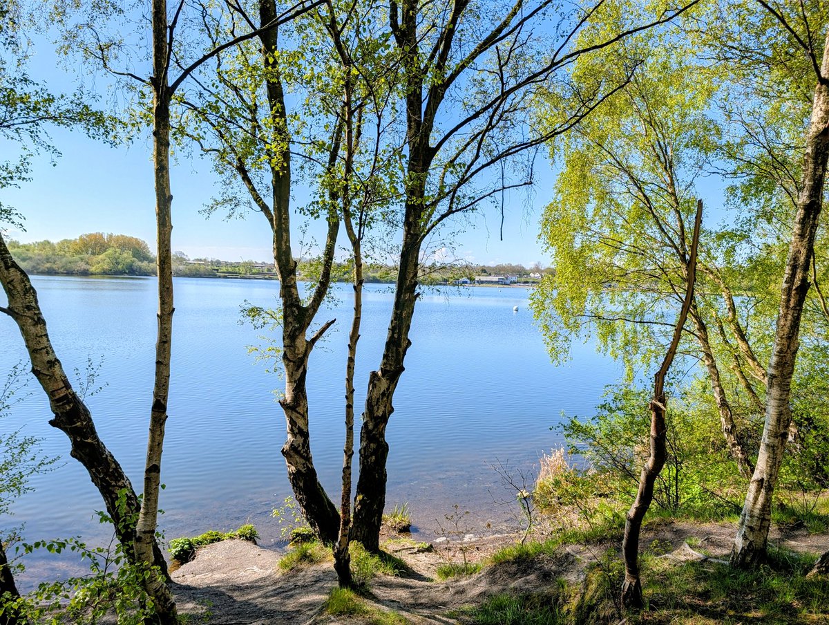 JReynard66304's tweet image. Beautiful Blue sky on #Monday #PenningtonFlash The sun 🌞 felt warm and there was no wind to spoil it !