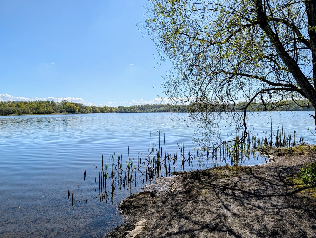 JReynard66304's tweet image. Beautiful Blue sky on #Monday #PenningtonFlash The sun 🌞 felt warm and there was no wind to spoil it !