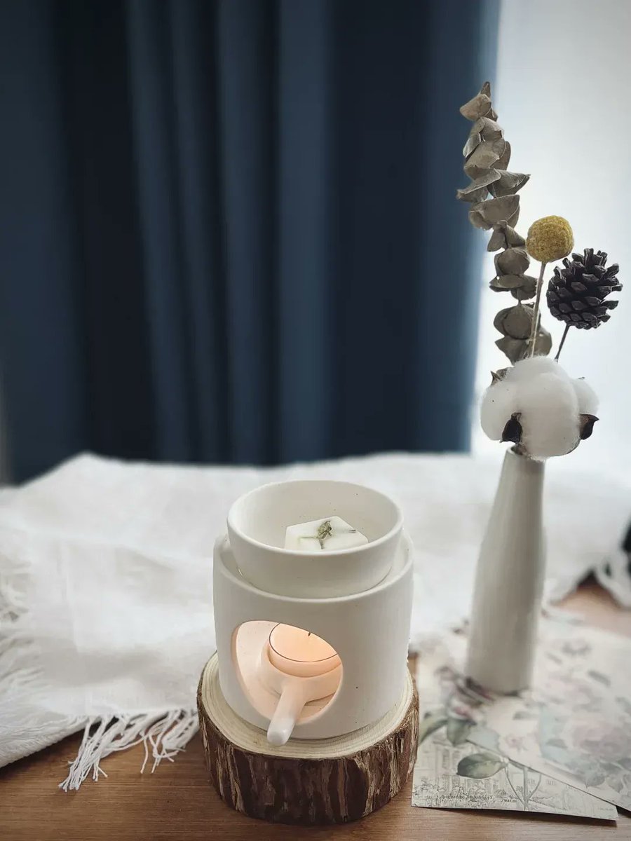 Stephanie Hofferbert tweet media