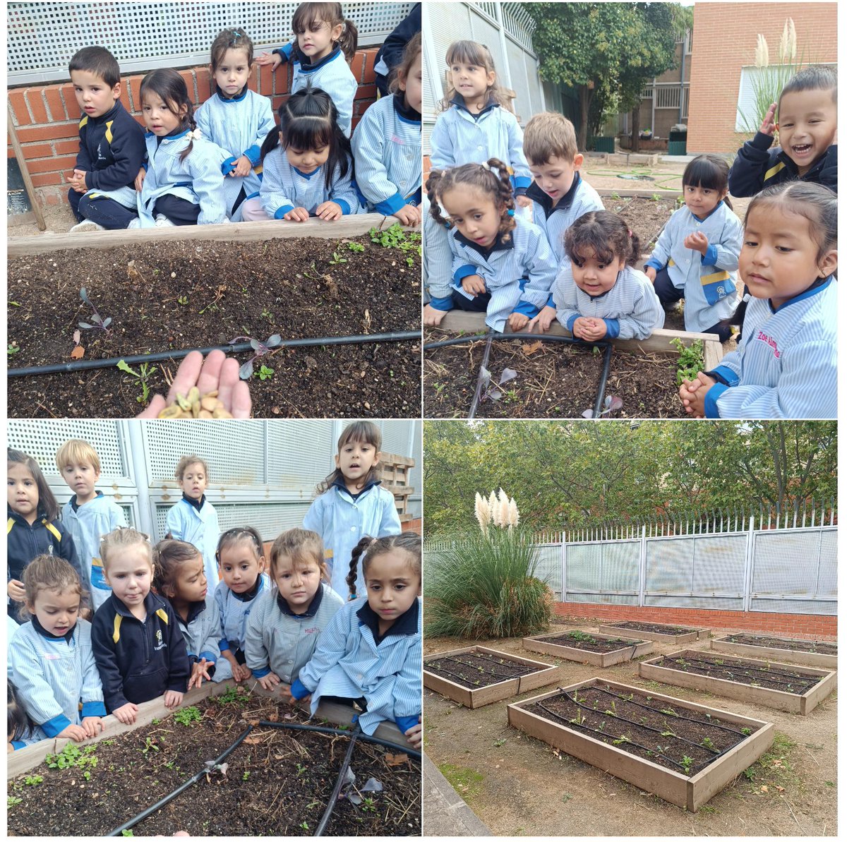 Colegio Diocesano MªInmaculada-Mogambo tweet media