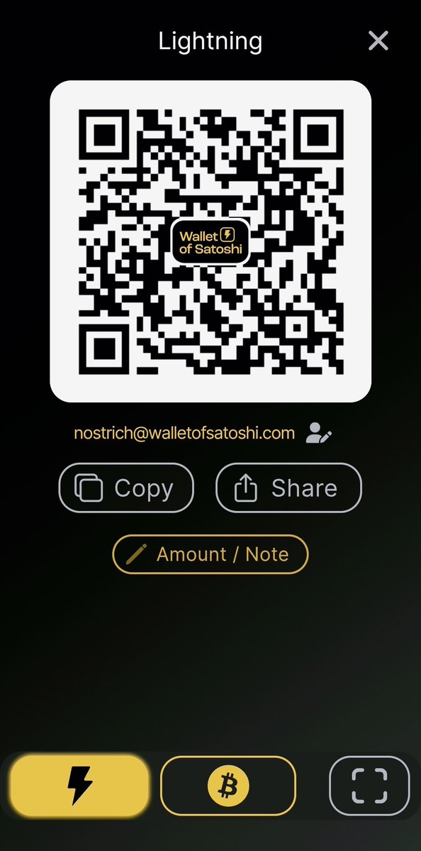 Nostr Boy tweet media