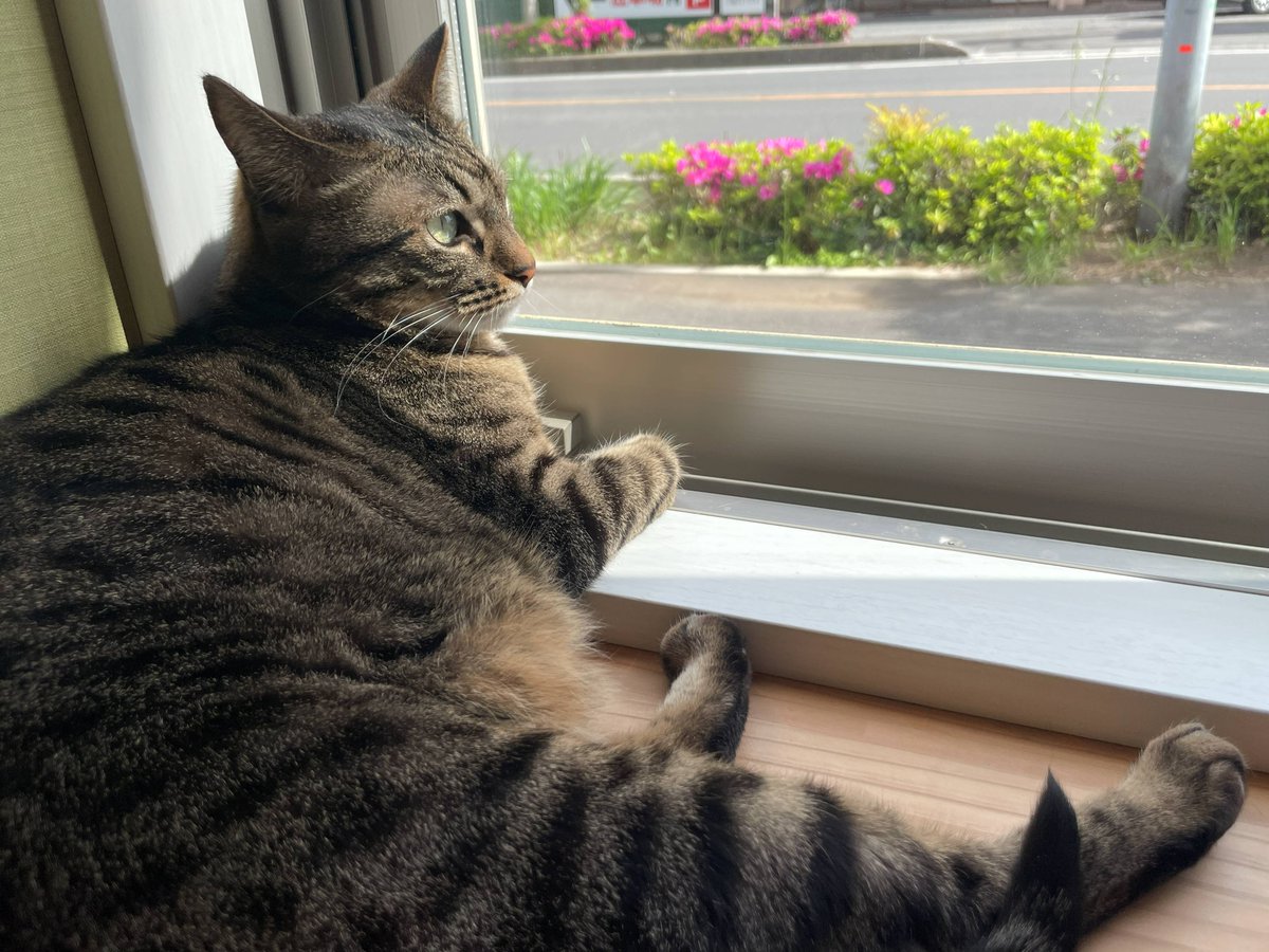 ふれあいひろば日記 tweet media
