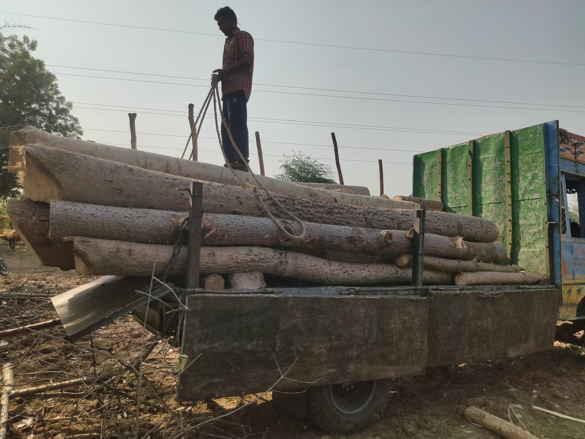 ગતરોજ તારીખ ૨૧/૦૪/૨૦૨૬ ના રોજ મોરવા હડફ ખાતેથી પંચરાઉ લાકડા ભરેલી ટ્રક  પકડી અને વન વિભાગ ને સોંપવામાં આવી <a href="/CollectorGodhra/">Collector Panchmahal</a> <a href="/sdmshahera/">Prant Shahera</a>