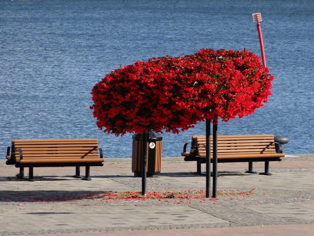 Dagens Västervik tweet media