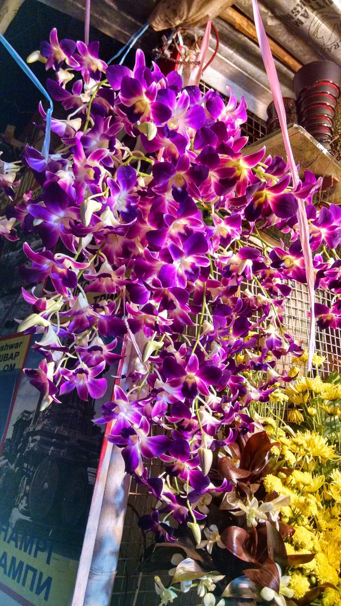 Pinky83996650's tweet image. #Purple