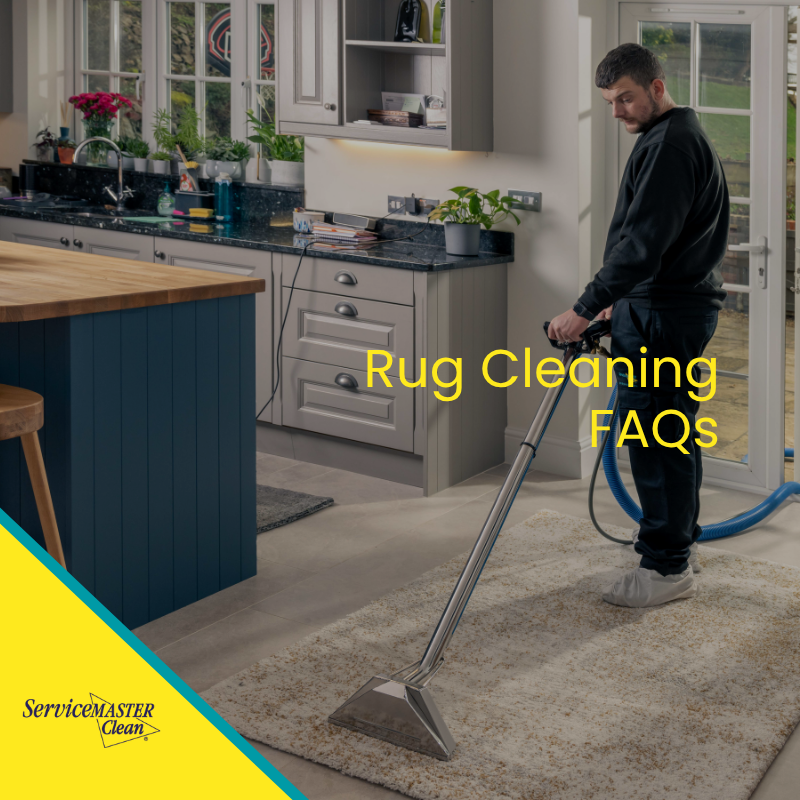 SM_CleanUK's tweet image. How often should rugs be cleaned?
What methods are safest?

We’ve answered your questions.
Read here:
servicemasterclean.co.uk/rug-cleaning-f…

#ServiceMasterClean #RugCleaning #FAQs