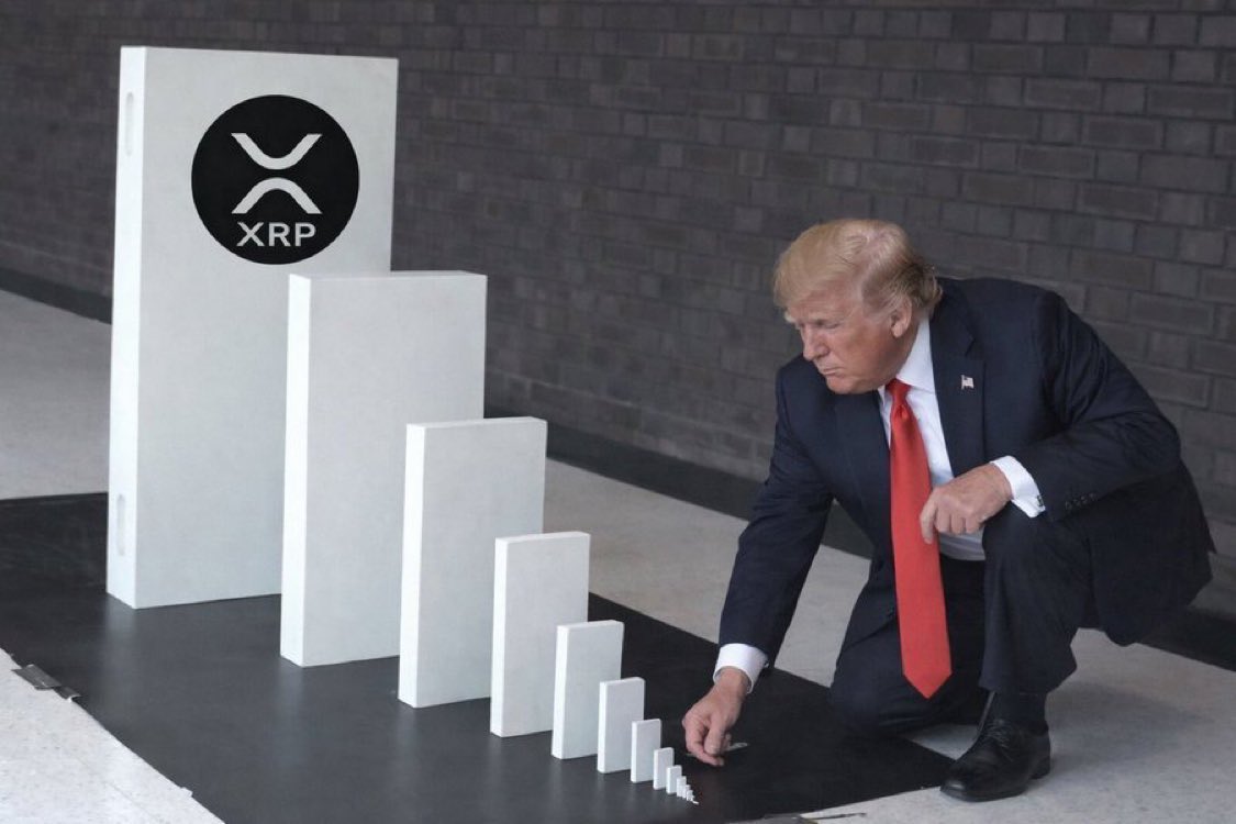 THE Q17VAULT tweet media