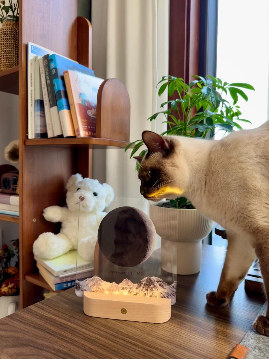 Shil69's tweet image. "Upgrade your desk game! Minimalist setup = max focus. Wireless keyboard, potted succulent, u0026 desk lamp for cozy productivity. #OfficeHacks #DeskGoals"