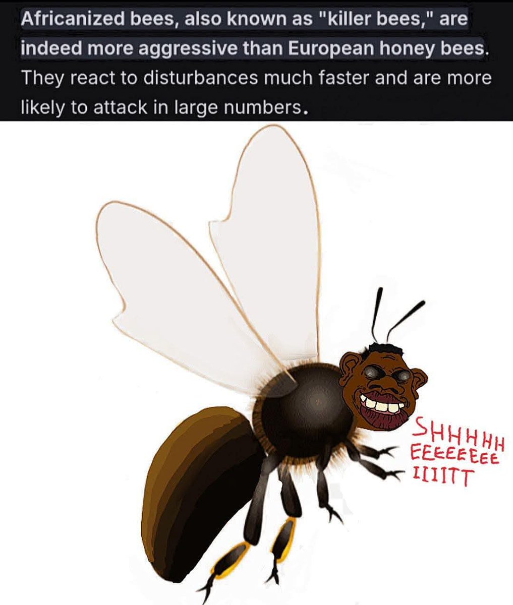 Scoobyclimbs2 tweet media