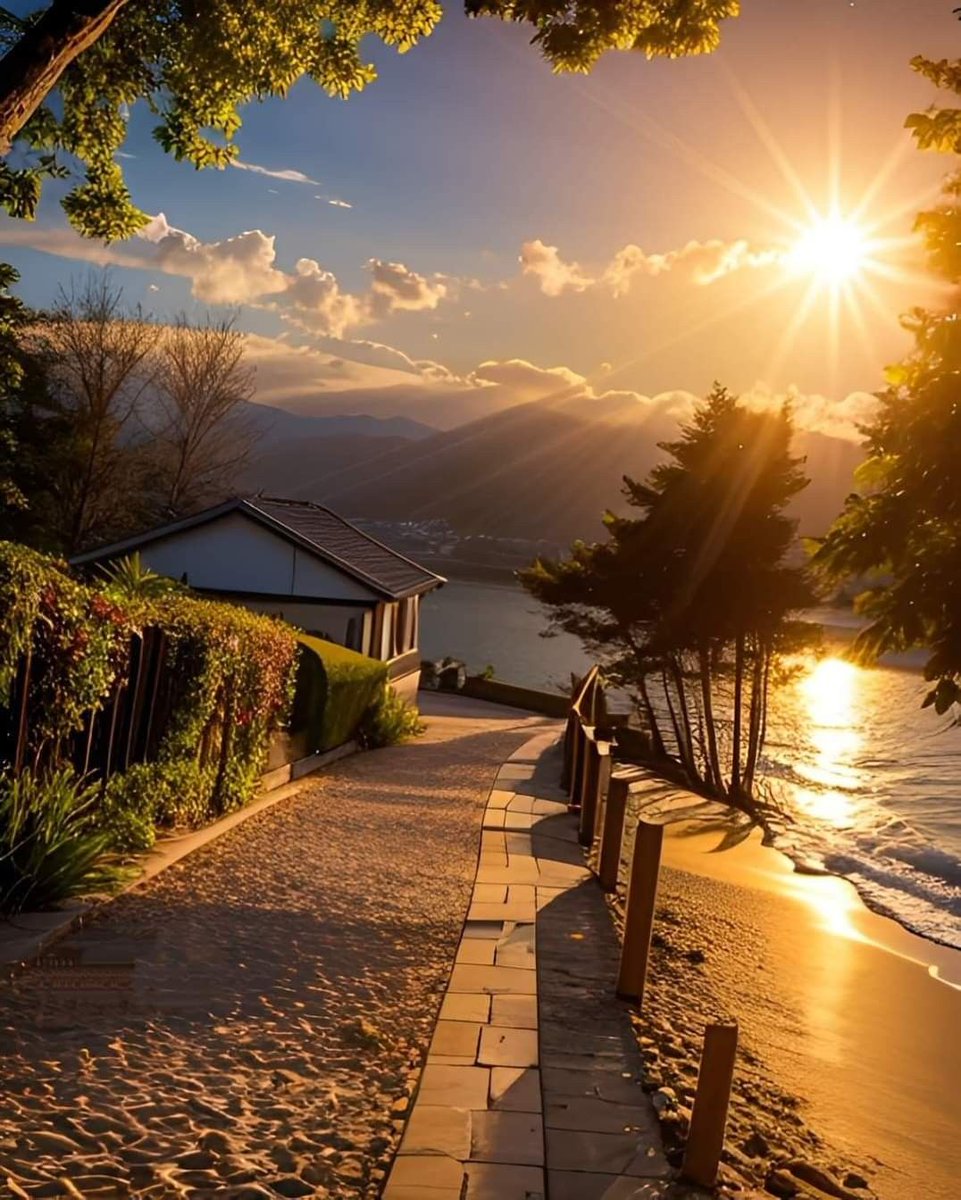 GALATEA💜✨ (@galatea321) on Twitter photo 