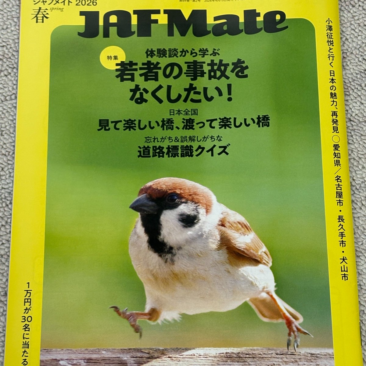 スズメさんのエッホエッホかわいい😍